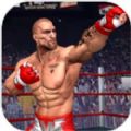 拳击手新格斗2021(Punch Boxing Fighter 2021)