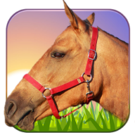 Ride Horse 3D（骑马3D）