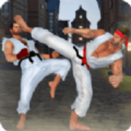 Karate Fighting 2021（空手道格斗大师）