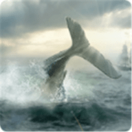 Moby Dick（莫比迪克狂野狩猎）