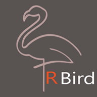 RealBird Reader（真鸟小说）