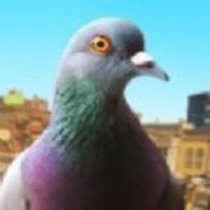模拟鸽子（Pigeon Simulator）