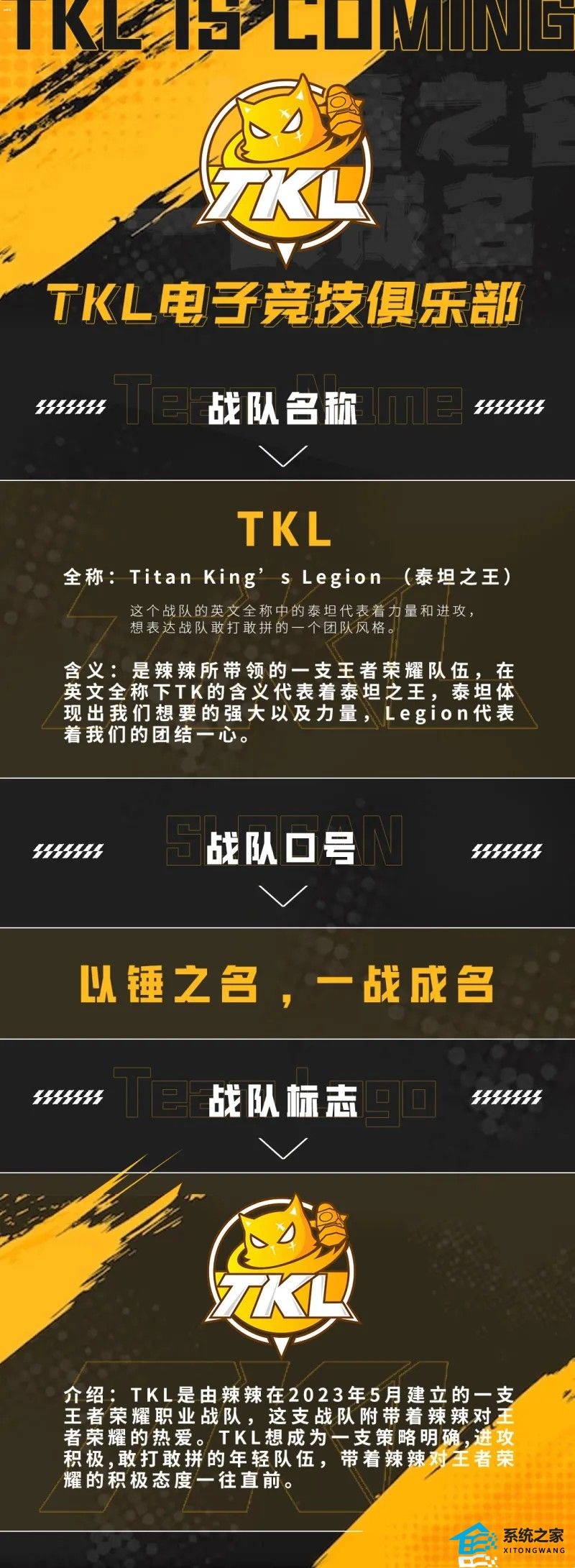 王者荣耀TKL战队是谁创建的 2023TKL战队老板资料介绍